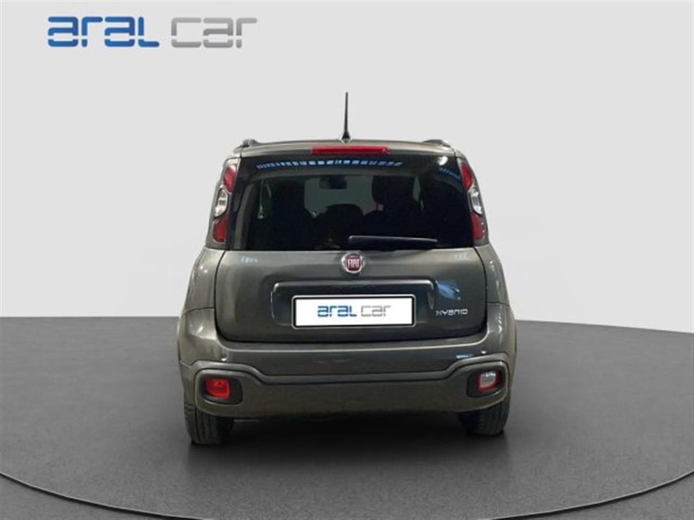 Panda Cross Panda Cross 1.0 FireFly S&S Hybr