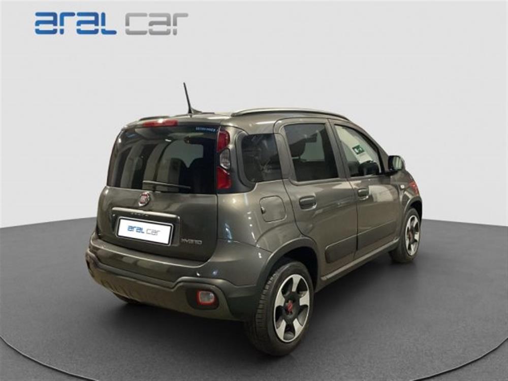 Panda Cross Panda Cross 1.0 FireFly S&S Hybr