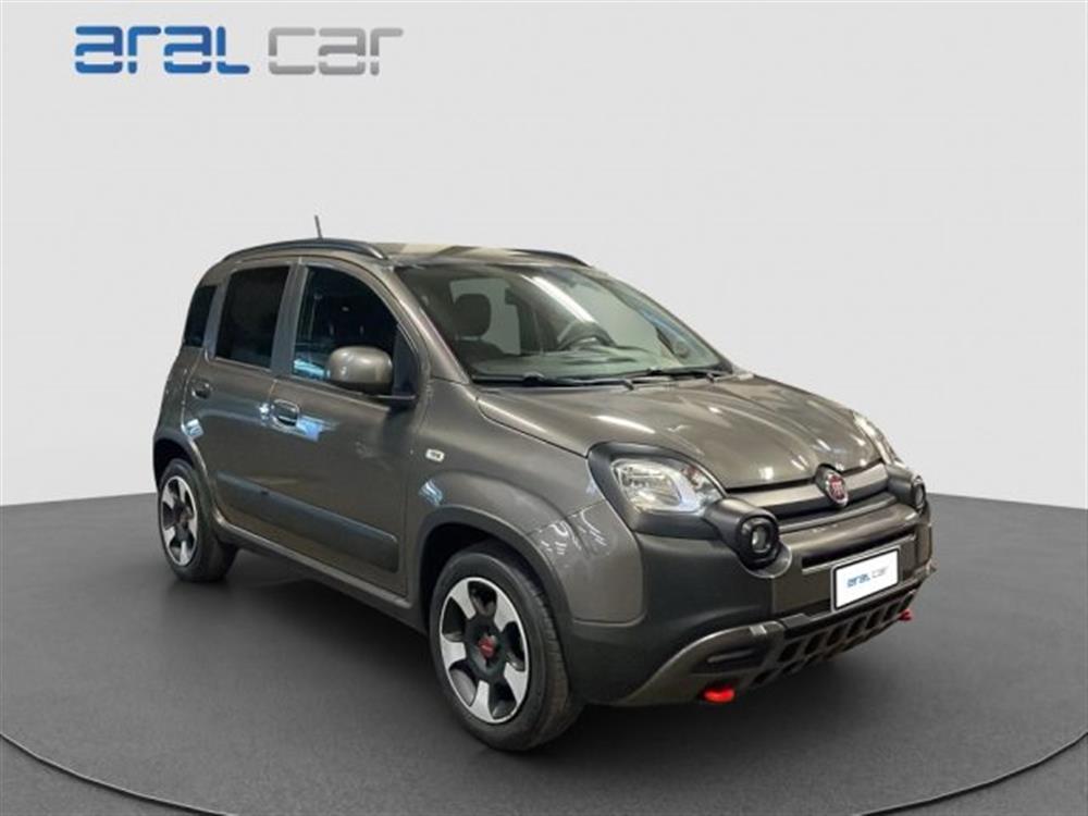 Panda Cross Panda Cross 1.0 FireFly S&S Hybr