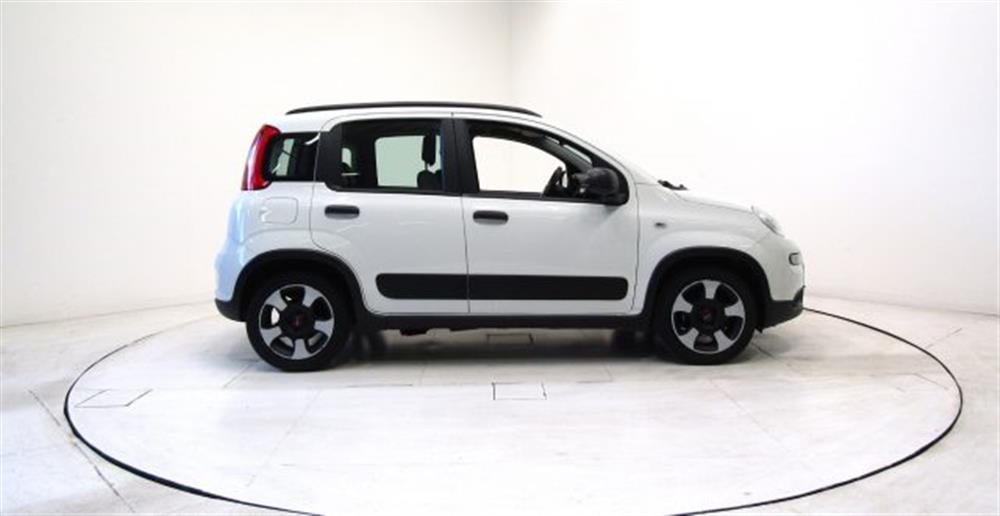 Panda Panda 1.0 FireFly Hybrid