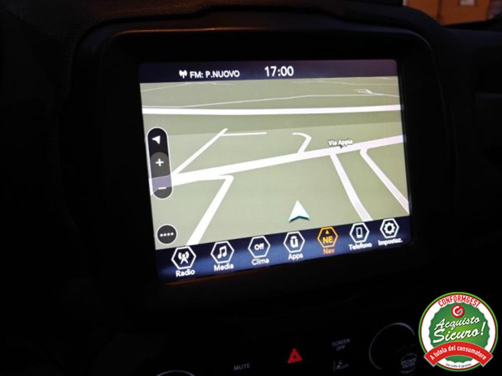 Renegade Renegade 1.6 Mjt 130 CV 80th