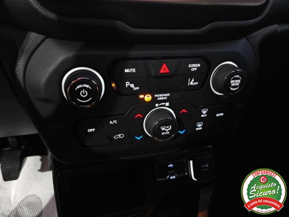 Renegade Renegade 1.6 Mjt 130 CV 80th