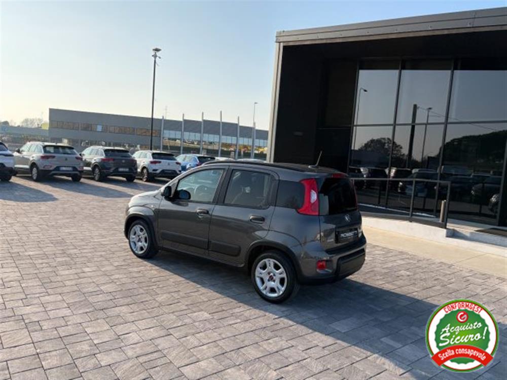 Panda Panda 1.0 FireFly Hybrid C