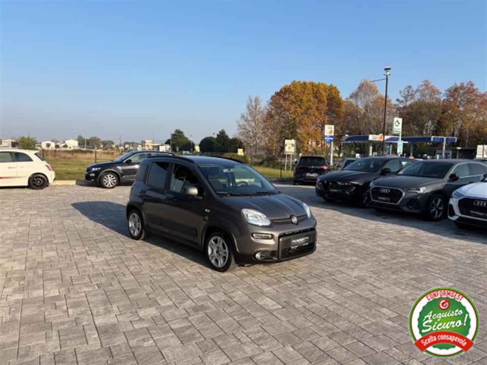 Panda Panda 1.0 FireFly Hybrid C