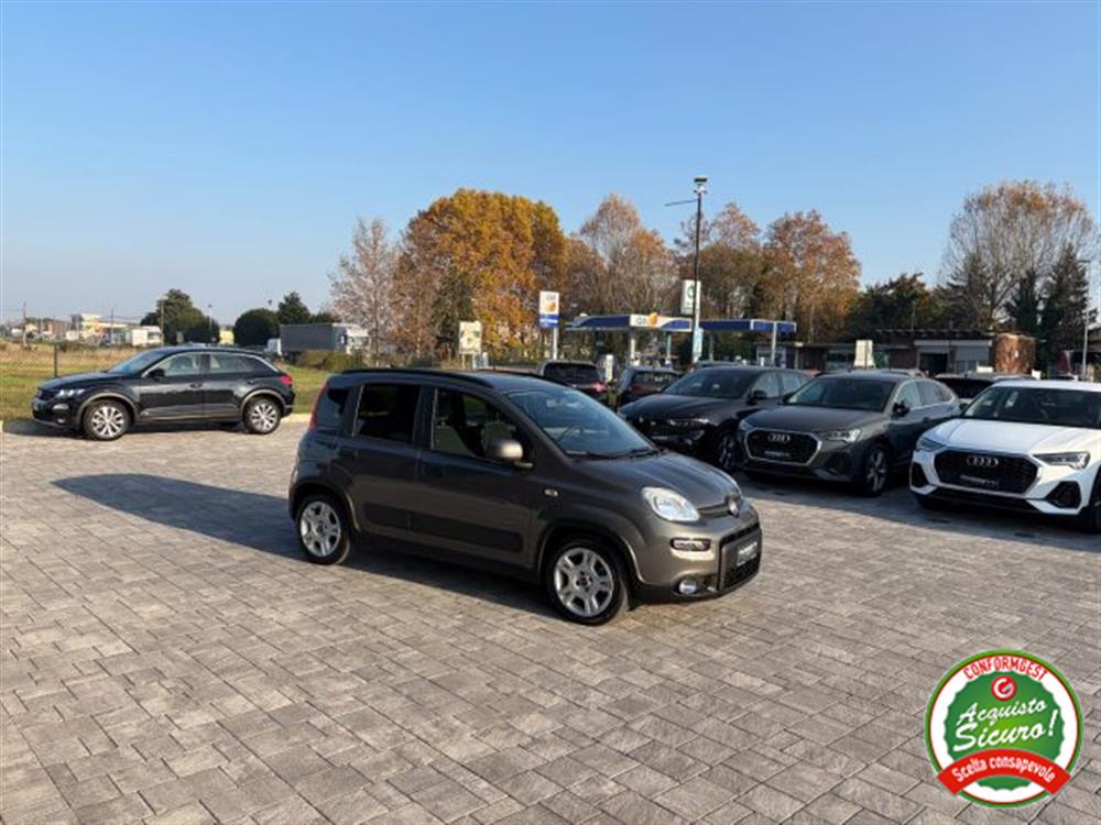 Panda Panda 1.0 FireFly Hybrid C