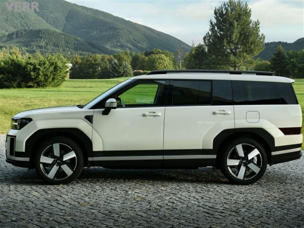 Santa Fe Santa Fe 1.6 t-gdi hev Busine