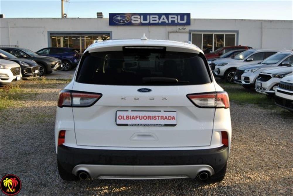 Kuga Kuga 1.5 EcoBlue 120 CV 2
