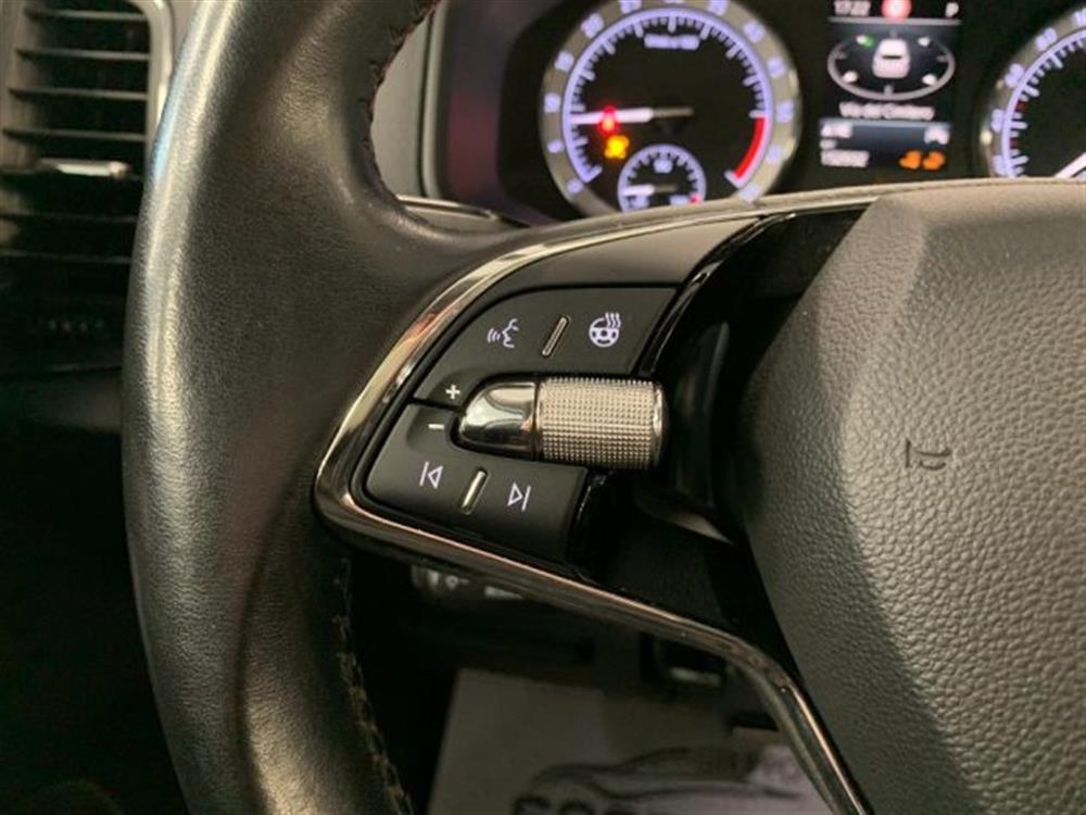 Karoq Karoq 2.0 TDI DSG Scout St