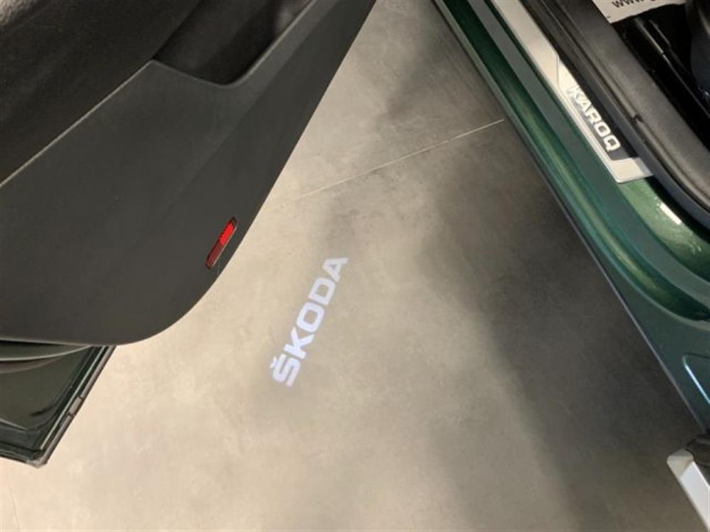 Karoq Karoq 2.0 TDI DSG Scout St