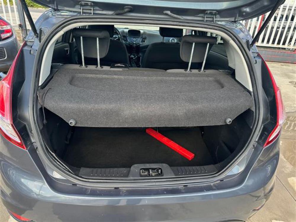 Fiesta Fiesta 1.2 60CV 5 porte Tit