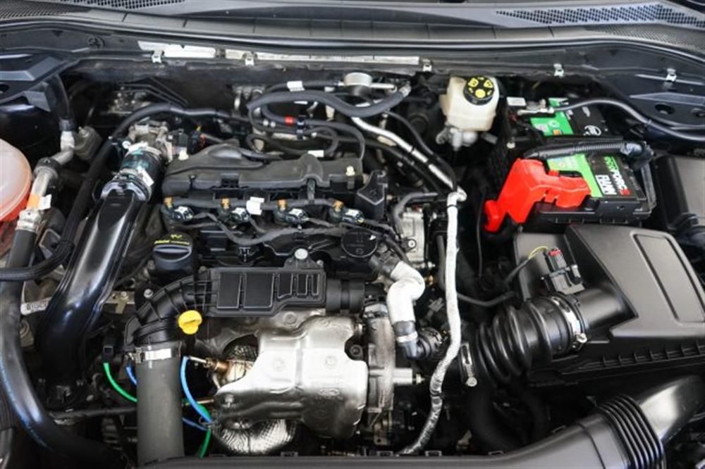 Kuga Kuga 1.5 EcoBlue 120 CV a