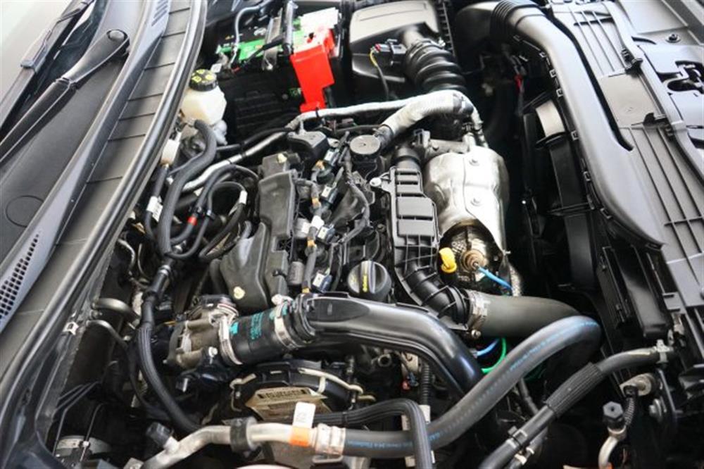 Kuga Kuga 1.5 EcoBlue 120 CV a