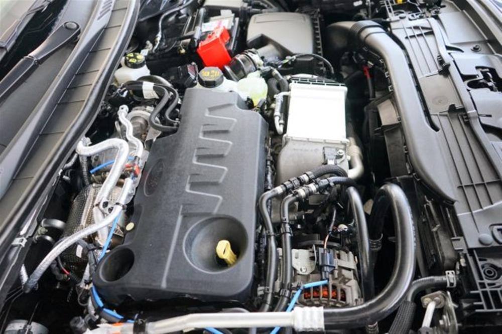 Kuga Kuga 2.0 EcoBlue 120 CV a