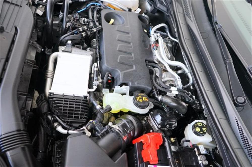 Kuga Kuga 2.0 EcoBlue 120 CV a