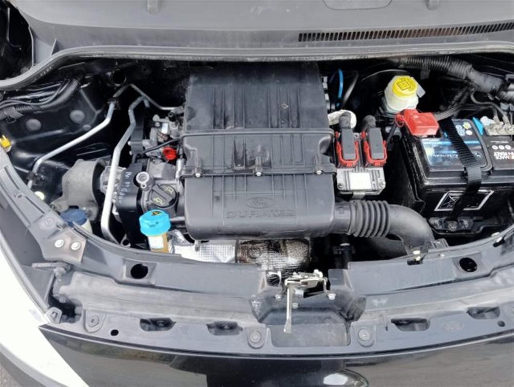 Ka+ Ka+ 1.2 8V 69CV GARANZI