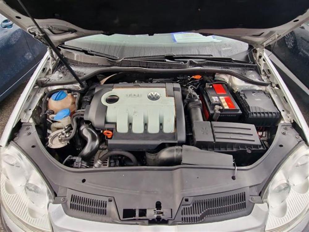 Golf Golf 1.9 TDI 4mot. 5p. Co