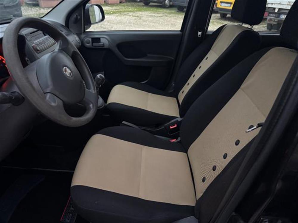 Panda Panda 1.2 Dynamic Natural