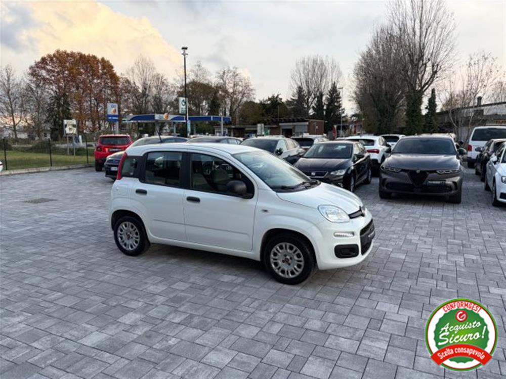 Panda Panda 1.2 GPL ANCHE PER N