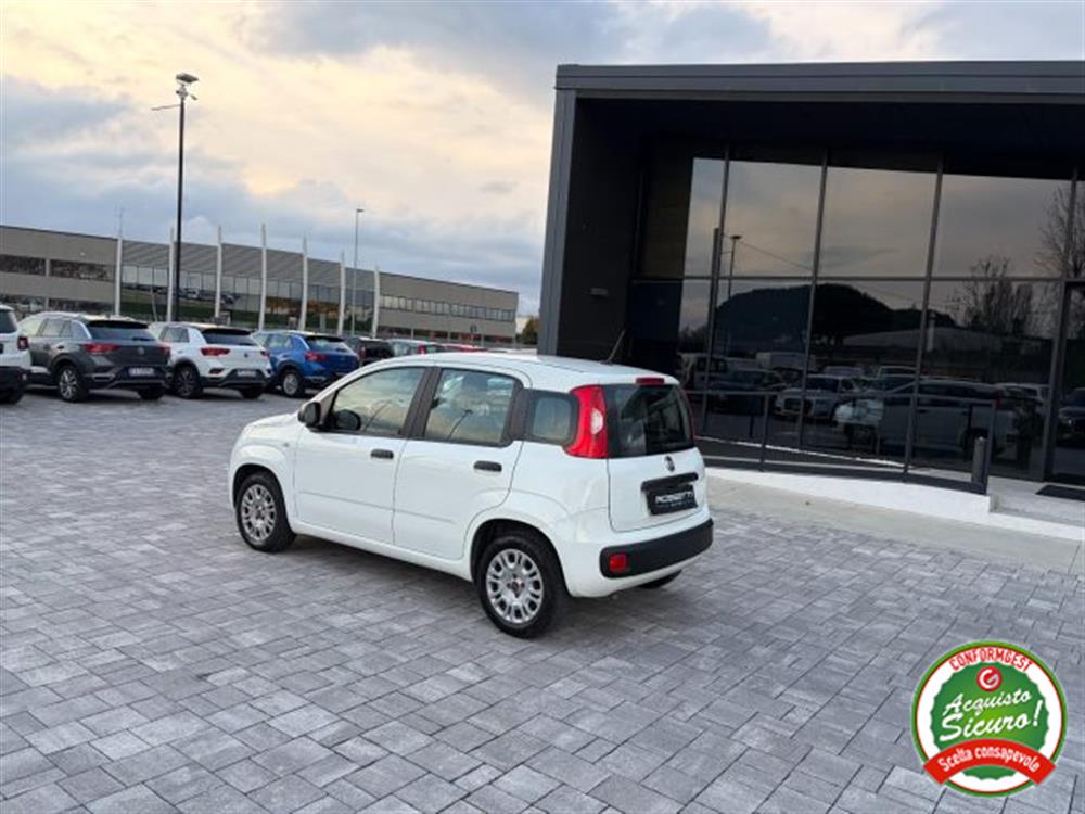 Panda Panda 1.2 GPL ANCHE PER N