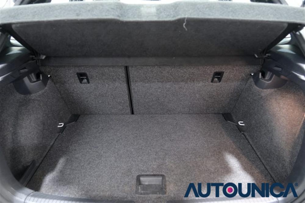 Polo GTI Polo GTI 2.0 TSI DSG GTI BLUE