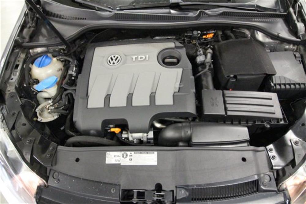 Golf Golf 1.6 TDI DPF 5p. High