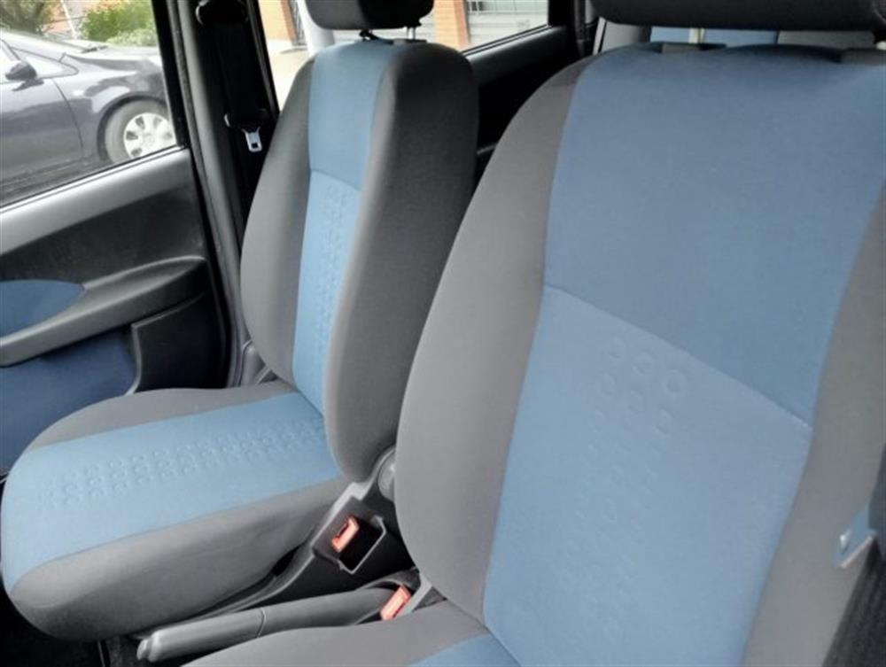 Panda Panda 1.2 Dynamic Natural