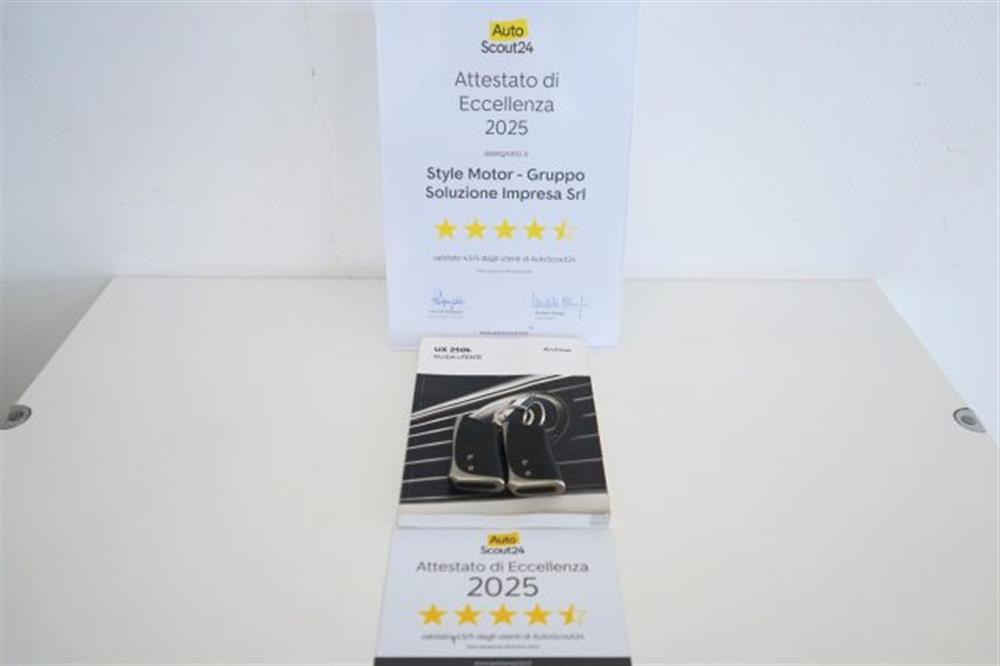 UX 250h UX 250h Hybrid Business 2WD