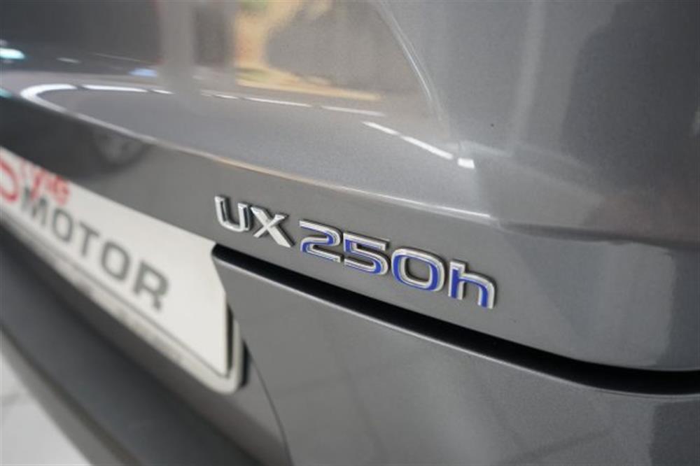 UX 250h UX 250h Hybrid Business 2WD