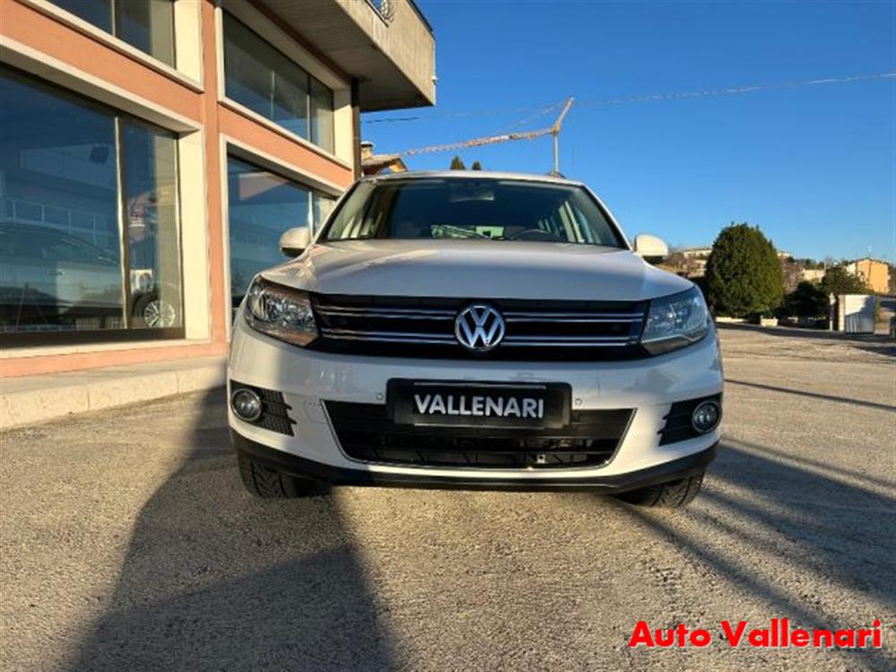 Tiguan Tiguan 2.0 TDI 110 CV Sport