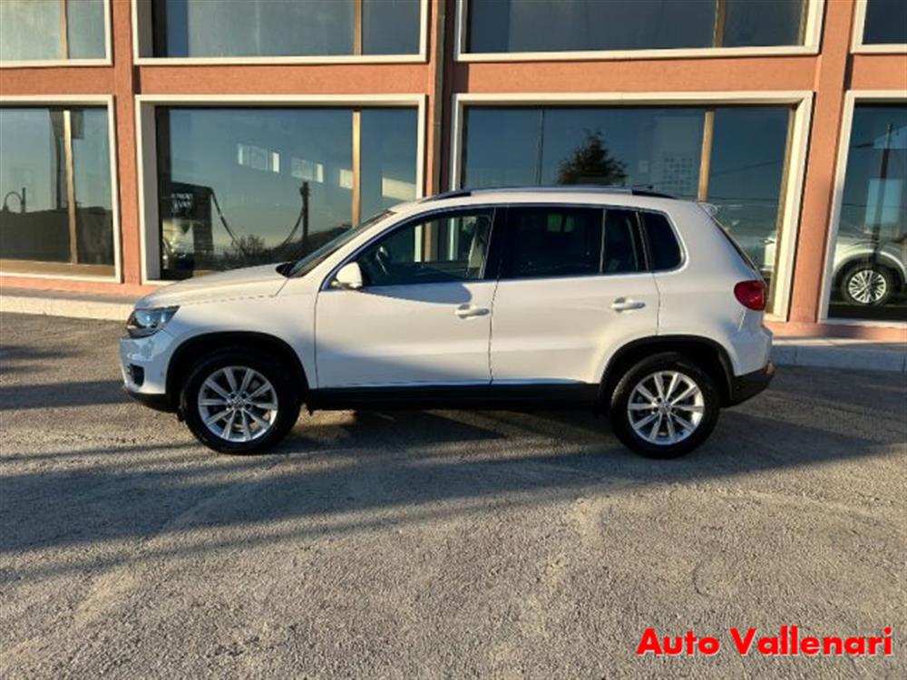 Tiguan Tiguan 2.0 TDI 110 CV Sport