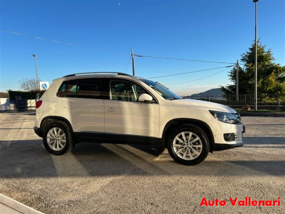 Tiguan Tiguan 2.0 TDI 110 CV Sport