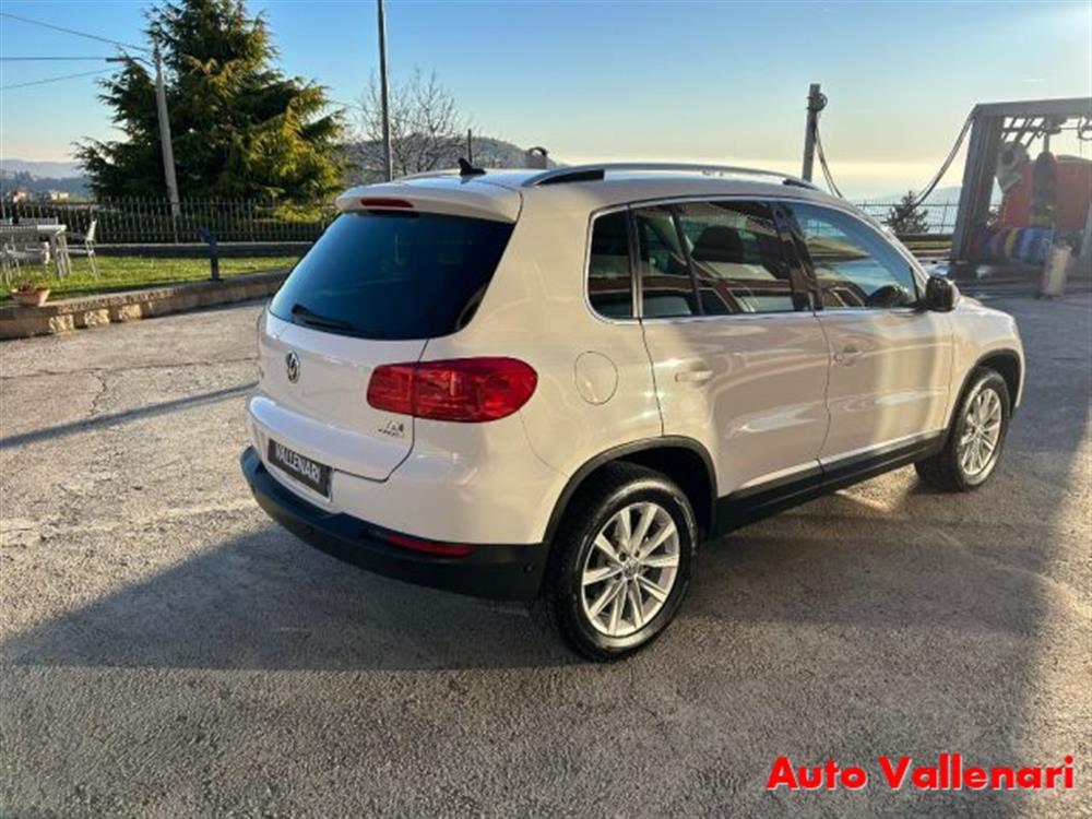 Tiguan Tiguan 2.0 TDI 110 CV Sport