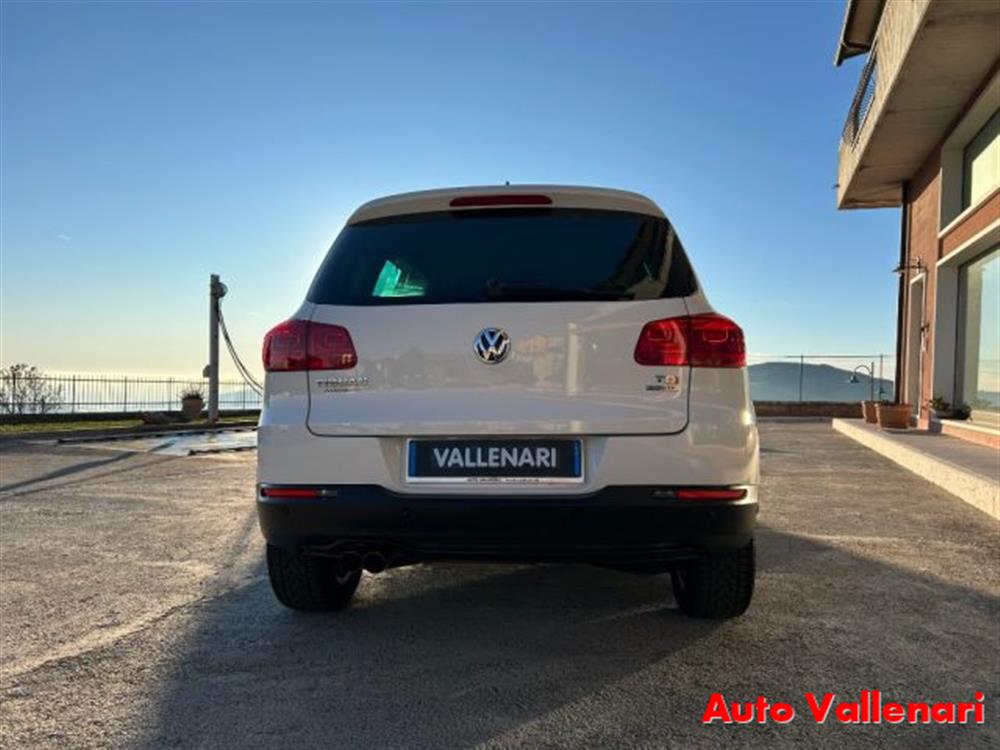 Tiguan Tiguan 2.0 TDI 110 CV Sport
