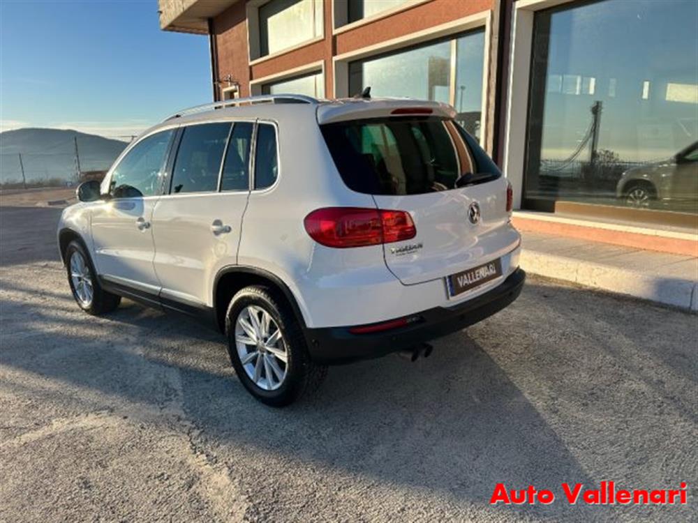 Tiguan Tiguan 2.0 TDI 110 CV Sport