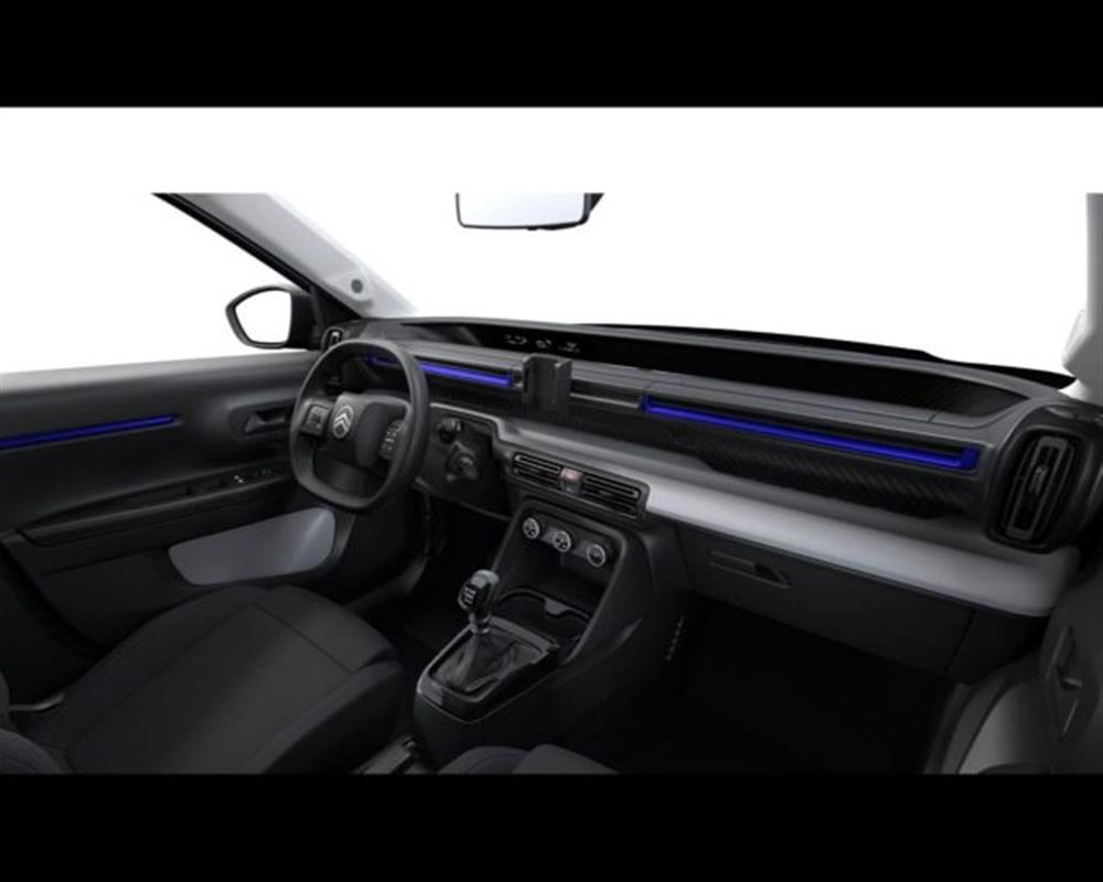 C3 C3 1.2 puretech You 100