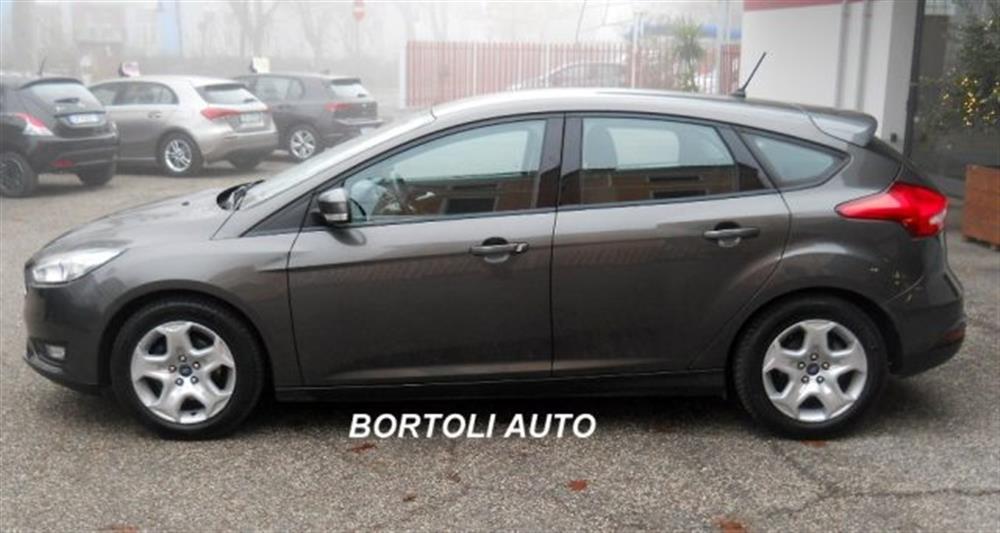 Focus Focus 1.6 GPL 156.000 KM T