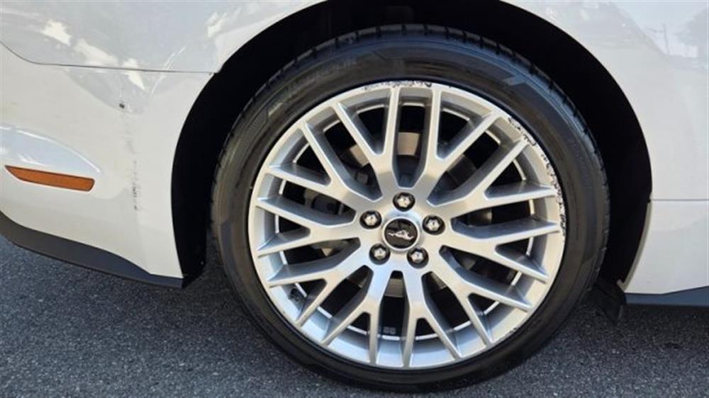 Mustang Mustang Convertible 2.3 EcoB