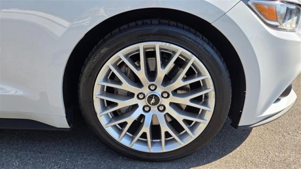 Mustang Mustang Convertible 2.3 EcoB