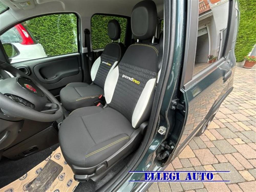 Pandina Pandina PROMO FIN. PANDINA