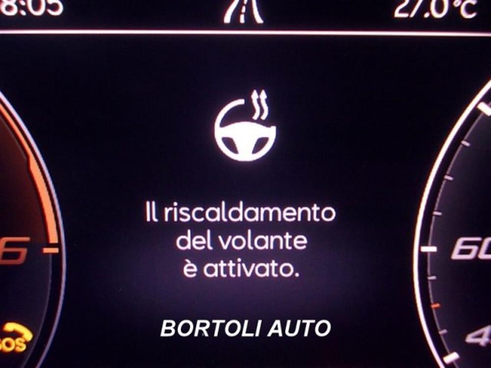 Formentor Formentor 2.0 TDI 30.000 KM 4