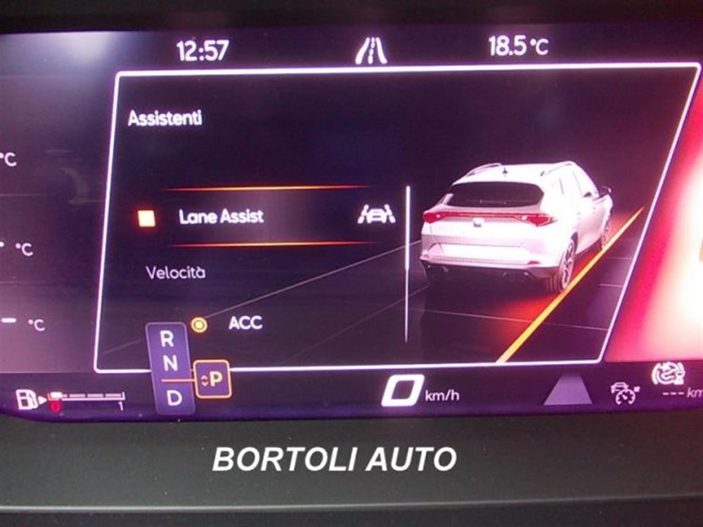 Formentor Formentor 2.0 TDI 30.000 KM 4