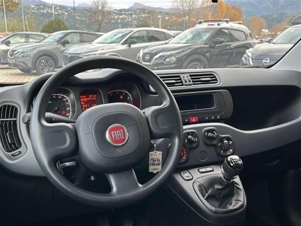 Panda Panda 1.0 firefly hybrid C