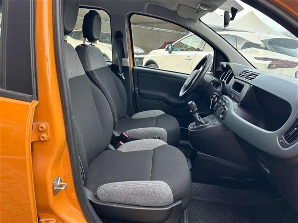 Panda Panda 1.0 firefly hybrid C