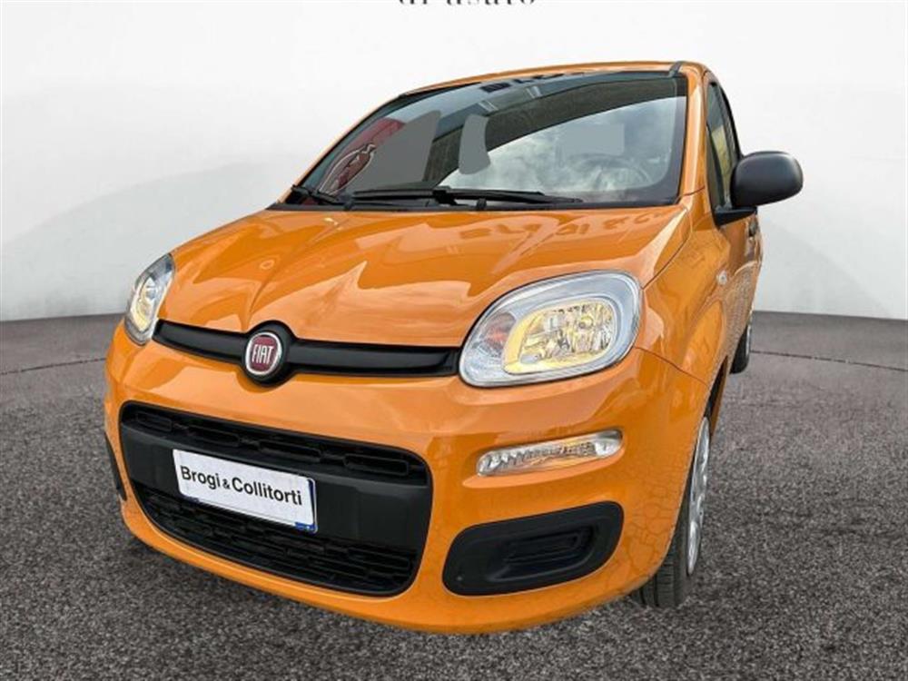 Panda Panda 1.0 firefly hybrid C