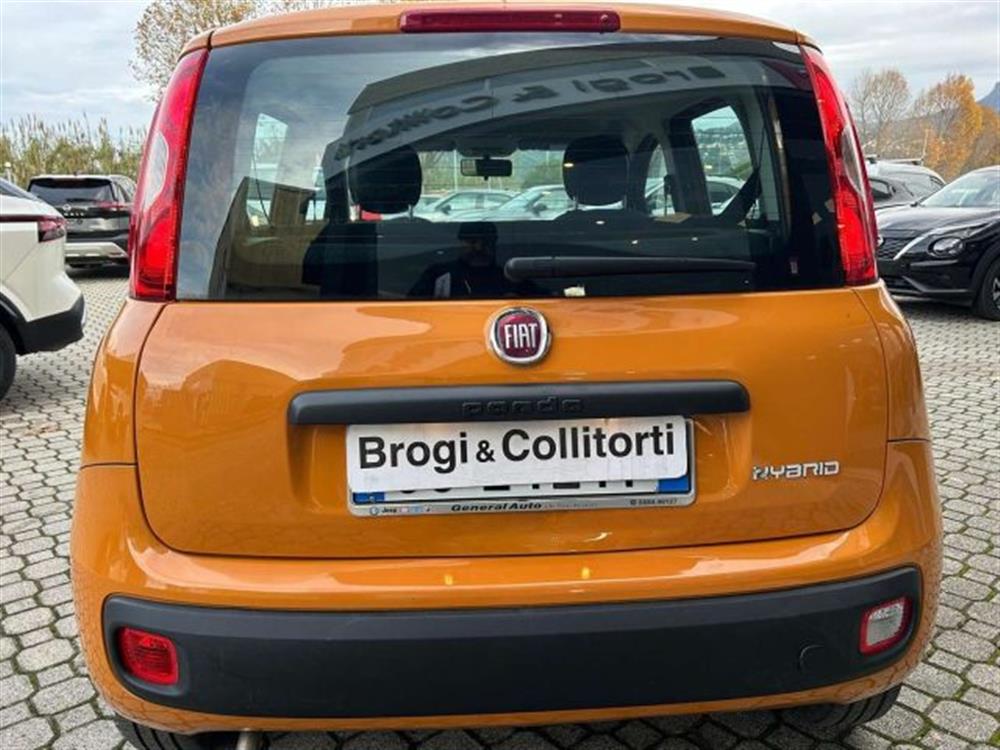 Panda Panda 1.0 firefly hybrid C