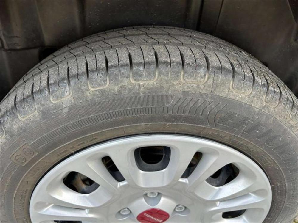 Panda Panda 1.0 firefly hybrid C