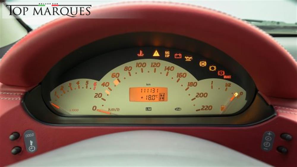 A 160 A 160 cat Hakkinen Edition