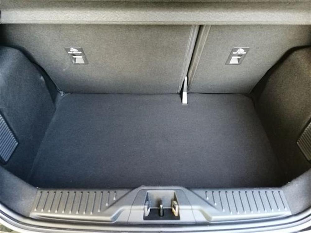 Fiesta Fiesta 1.0 Ecoboost Hybrid