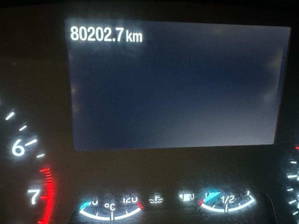 Fiesta Fiesta 1.000 BENZINA HYBRID