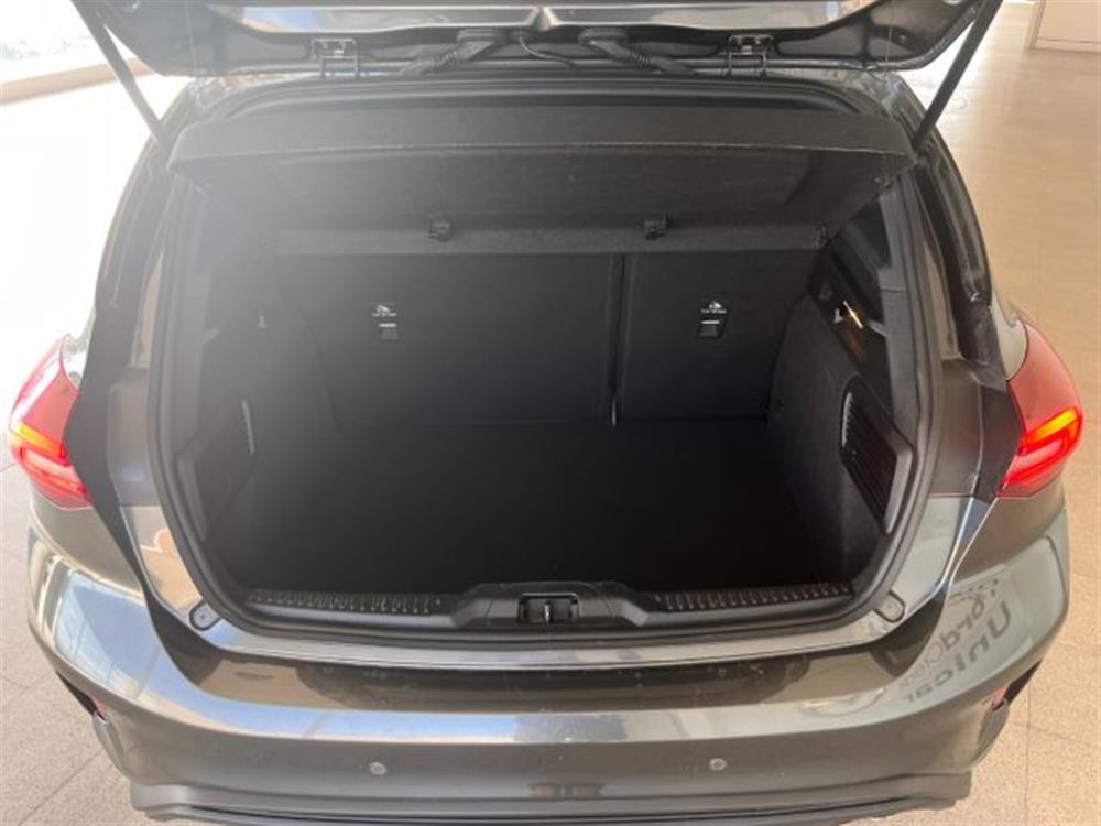 Focus Focus 1.0 ibrida/benzina 1